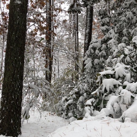 Meet your Posher, Jan - Picture 4 of 4